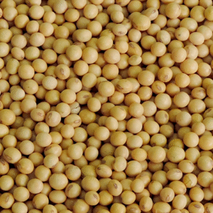 Soja (grão pequeno/ kg)