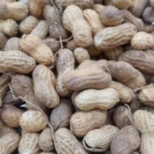 Amendoim com casca (kg)