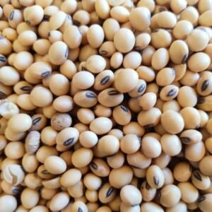 Soja (grão pequeno/ kg)